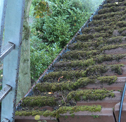 Démoussage et nettoyage de toiture à Bergers (38420) en Isère (38)