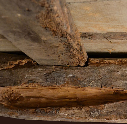 Traitement de charpente à Bergers (38420) en Isère (38)